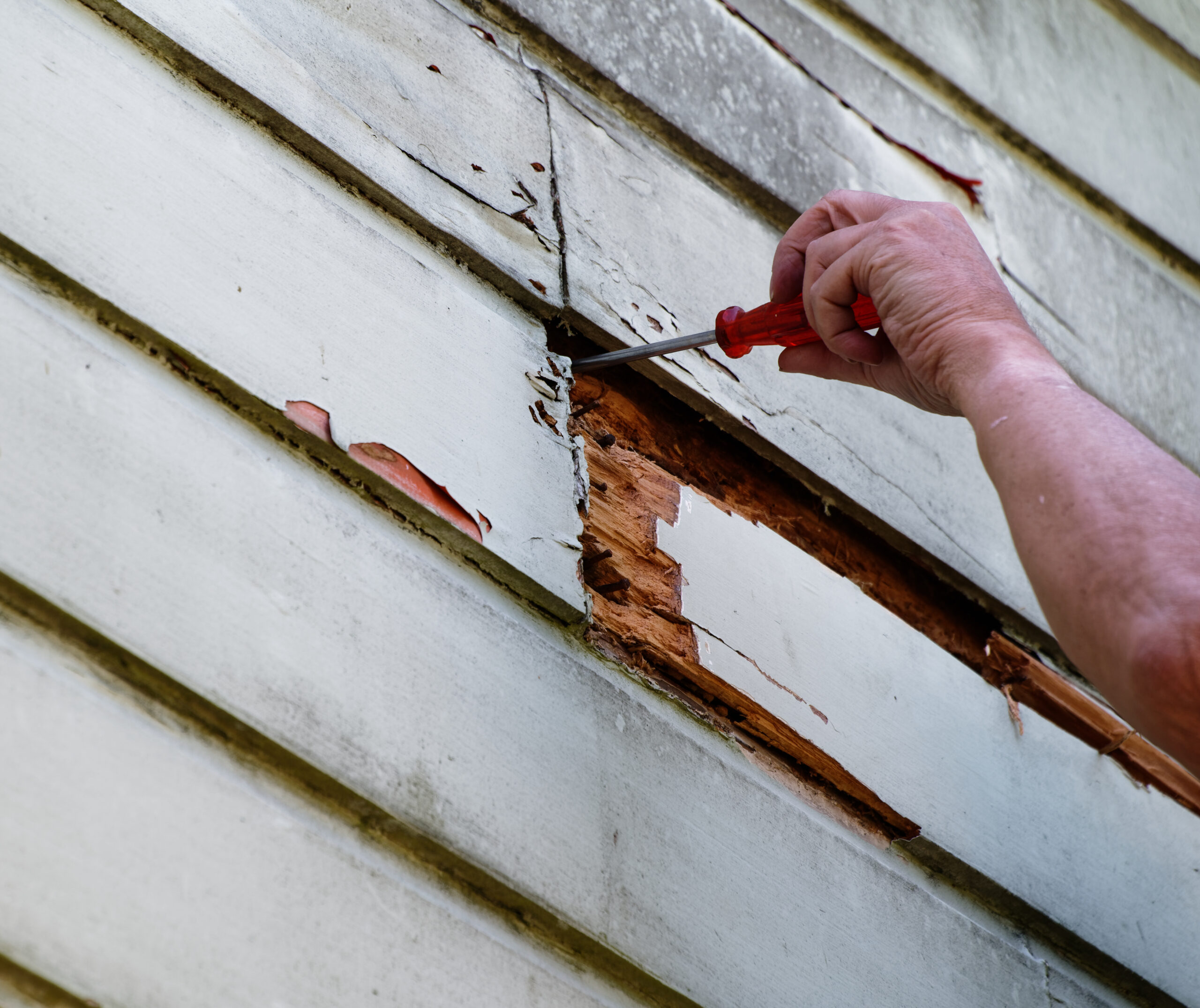 top rated painting carpentry services ut az top rated painting carpentry services ut az